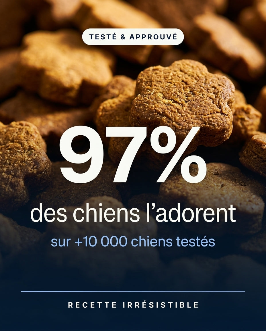 Le Multi Quotidien