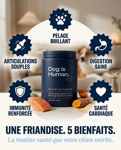 Le Multi Quotidien