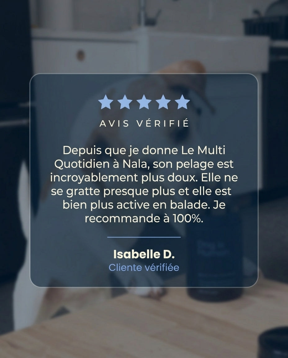 Le Multi Quotidien